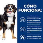 Hill's Prescription Diet Canine j/d Metabolic + Mobility lata para perros, , large image number null
